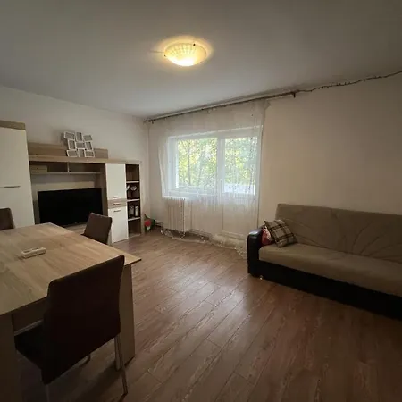 Apartament Raza De Soare شقة *